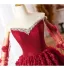 Blumenfee Burgunderrot Strass Applikationen Ballkleider 2025 Ballkleid Bandeau Ärmellos Lange Festliche Kleider