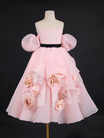 Charmant Rougissant Rose Appliques Anniversaire Organza Robe Ceremonie Fille 2024 Princesse Bustier Gonflée Manches Courtes Dos Nu Longue