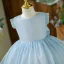 Bling Bling Sky Blue Glitter Birthday Flower Girl Dresses 2022 Ball Gown Scoop Neck Sleeveless Bow Short Flower Girl Dresses