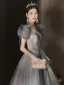 Chic / Beautiful Grey Sequins Prom Dresses 2026 A-Line / Princess V-Neck Puffy Short Sleeve Backless Floor-Length / Long Formal Dresses