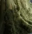 Chic / Belle Vert Cendré Noeud Ceinture Robe De Bal 2025 Princesse Bustier Sans Manches Dos Nu Train De Balayage Robe De Ceremonie