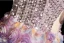 Lovely Lavender Beading Sequins Appliques Prom Dresses 2024 A-Line / Princess Off-The-Shoulder Sleeveless Backless Floor-Length / Long Prom Formal Dresses