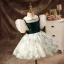 Elegant Dark Green Pearl Lace Short Birthday Flower Girl Dresses 2022 Ball Gown Scoop Neck Puffy Short Sleeve Flower Girl Dresses