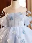 Flower Fairy Sky Blue Appliques Short Birthday Flower Girl Dresses 2024 Ball Gown Scoop Neck Short Sleeve Backless Tulle