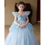 Flower Fairy Sky Blue Appliques Pearl Sequins Birthday Flower Girl Dresses 2025 Ball Gown Scoop Neck Cap Sleeves Backless Floor-Length / Long