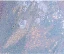 Scintillantes Bleu Ciel Perlage Appliques Paillettes Robe De Bal 2024 Trompette / Sirène De l'épaule Manches Courtes Dos Nu Longue Promo Robe De Ceremonie