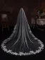 Élégant Blanche En Dentelle Fleur Chapel Train Voile De Mariée 2025 3.5 m Tulle