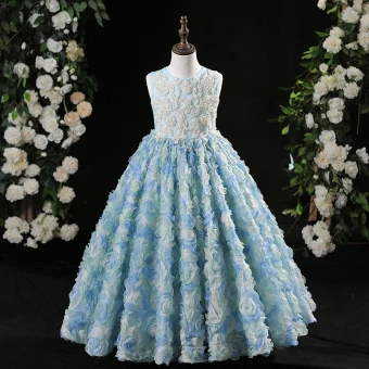 Fée Des Fleurs Bleu Ciel Perlage Perle Appliques Anniversaire Robe Ceremonie Fille 2024 Princesse Encolure Dégagée Sans Manches Longue Tulle