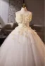 Chic / Belle Blanche Appliques Robe De Bal 2025 Robe Boule Bustier Sans Manches Dos Nu Longue Robe De Ceremonie