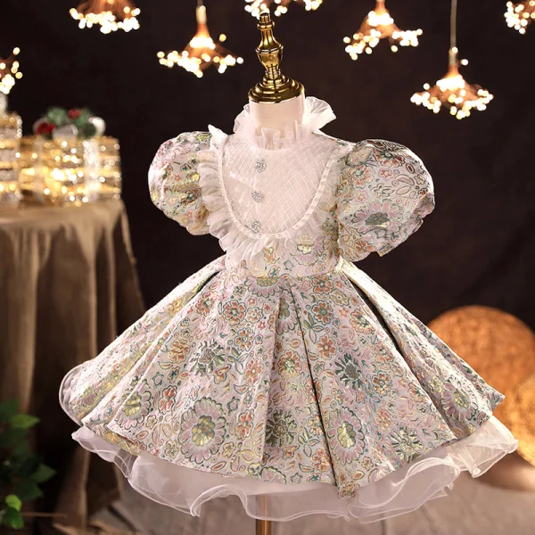 Vintage / Retro Multi-Colors Embroidered Short Flower Girl Dresses 2022 Ball Gown Ruffle High Neck Rhinestone Puffy Short Sleeve Prom Flower Girl Dresses