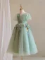 Chic / Beautiful Sage Green Lace Flower Birthday Flower Girl Dresses 2024 A-Line / Princess V-Neck Short Sleeve Backless Floor-Length / Long Tulle
