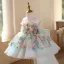 Flower Fairy Blushing Pink Beading Appliques Sequins Birthday Short Flower Girl Dresses 2025 Ball Gown Scoop Neck Sleeveless Backless Tulle