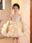 Bling Bling Champagne Sequins Cascading Ruffles Birthday Flower Girl Dresses 2026 Ball Gown Scoop Neck Sleeveless Bow Short