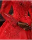 Vintage / Retro Red Beading Sequins Wedding Dresses 2025 Ball Gown High Neck Long Sleeve Backless Royal Train Wedding