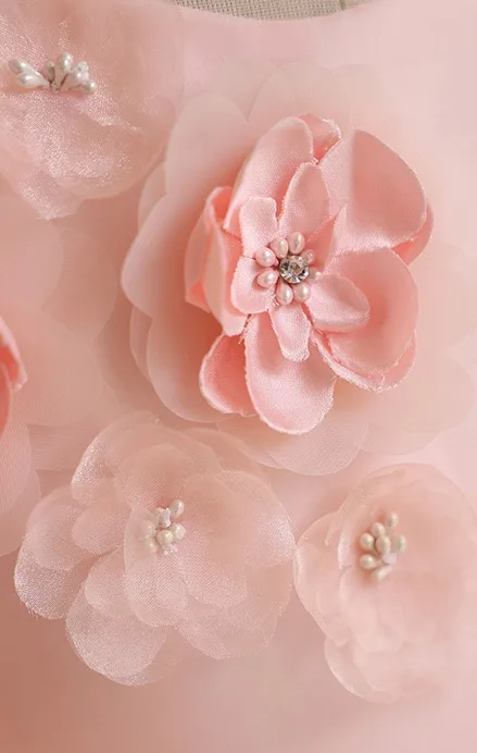 Elegant Blushing Pink Appliques Birthday Flower Girl Dresses 2024 Ball Gown Scoop Neck Puffy Short Sleeve Backless Floor-Length / Long Flower Girl Dresses