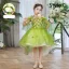 Flower Fairy Sage Green Appliques Birthday Flower Girl Dresses 2024 Ball Gown V-Neck Bell sleeves Floor-Length / Long