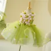 Flower Fairy Sage Green Appliques Birthday Short Flower Girl Dresses Ball Gown 2023 V-Neck Sleeveless Flower Girl Dresses