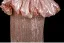 Sexy Rødmende Rosa Rhinestone Paljetter Asymmetrisk Selskapskjoler 2025 Trompet / Havfrue Kjæreste Uten Ermer Ryggløse Feie Tog Formelle Kjoler