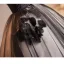 Audrey Hepburn-Stil Schwarz Applikationen Ballkleider Ballkleid 2024 Bandeau Ärmellos Rückenfreies Lange Ball Festliche Kleider