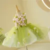 Flower Fairy Sage Green Appliques Birthday Short Flower Girl Dresses Ball Gown 2023 V-Neck Sleeveless Flower Girl Dresses