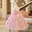 Flower Fairy Blushing Pink Appliques Sequins Birthday Flower Girl Dresses 2024 Ball Gown Scoop Neck Sleeveless Backless Short