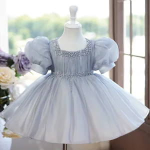 Elegant Grey Pearl Short Birthday Flower Girl Dresses 2024 Ball Gown U Neck Puffy Short Sleeve Bow