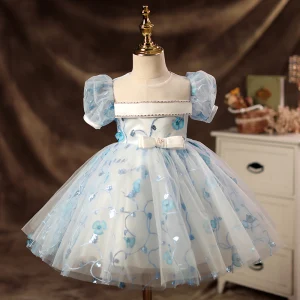 Elegant Sky Blue Appliques Pearl Sequins Prom Flower Girl Dresses 2022 Ball Gown Scoop Neck Lace Puffy Short Sleeve Floor Length Long Flower Girl Dresses