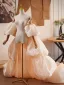 Fashion Champagne Handmade  Cascading Ruffles Puffy Short Sleeve Prom shawl 2025 Tulle
