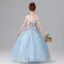 Flower Fairy Sky Blue Sequins Lace Flower Appliques Birthday Flower Girl Dresses 2025 Ball Gown Scoop Neck Sleeveless Floor-Length / Long