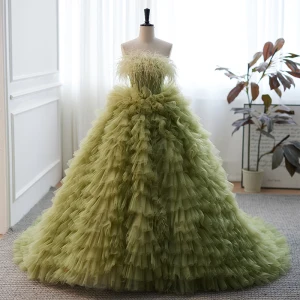 Moderne Mode Vert Cendré Plissée Robe De Bal 2023 Robe Boule Plumes Bustier Sans Manches Dos Nu Tribunal Train Promo Robe De Ceremonie