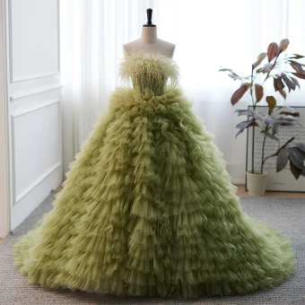 Moderne Mode Vert Cendré Plissée Robe De Bal 2023 Robe Boule Plumes Bustier Sans Manches Dos Nu Tribunal Train Promo Robe De Ceremonie