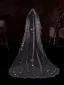 Elegant White Appliques 1.5 m Tulle Wedding Veils 2025