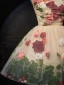 Vintage / Retro Champagne Rose Appliques Short Prom Dresses 2024 Scoop Neck Sleeveless Backless Prom Formal Dresses