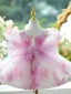 Chic / Beautiful Blushing Pink Appliques Beading Short Birthday Flower Girl Dresses 2024 Ball Gown Scoop Neck Puffy Short Sleeve Backless Tulle
