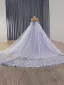 Haut de Gamme Bleu Ciel En Dentelle Papillon Perlage Paillettes Appliques Robe De Bal 2025 Robe Boule De l'épaule Manches Courtes Dos Nu Royal Train Tulle Robe De Ceremonie
