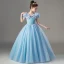 Cinderella Sky Blue Birthday Flower Girl Dresses Ball Gown 2022 Scoop Neck Lace Butterfly Sequins Star Short Sleeve Floor-Length / Long Flower Girl Dresses