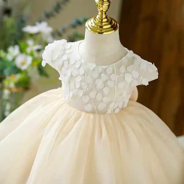 Chic / Beautiful Beige Appliques Birthday Flower Girl Dresses 2022 Ball Gown Scoop Neck Short Sleeve Bow Short Flower Girl Dresses