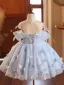 Flower Fairy Sky Blue Appliques Short Birthday Flower Girl Dresses 2024 Ball Gown Scoop Neck Short Sleeve Backless Tulle