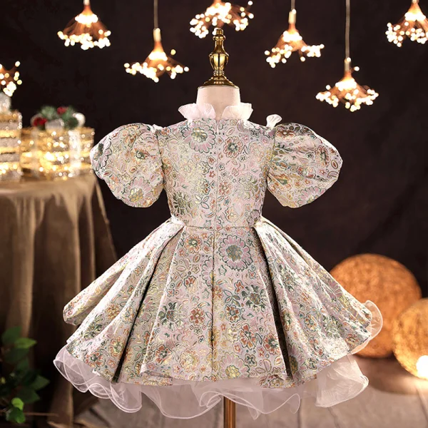 Vintage / Retro Multi-Colors Embroidered Short Flower Girl Dresses 2022 Ball Gown Ruffle High Neck Rhinestone Puffy Short Sleeve Prom Flower Girl Dresses