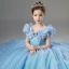 Cinderella Sky Blue Birthday Flower Girl Dresses Ball Gown 2022 Scoop Neck Lace Butterfly Sequins Star Short Sleeve Floor-Length / Long Flower Girl Dresses