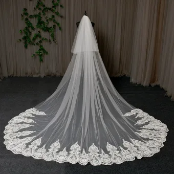 Demure White Lace Flower 3 M Court Train Wedding Veils 2025