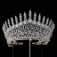 Bling Bling Roos Goud Rhinestone Legering Bruids Haaraccessoires 2024 Huwelijk Accessoires