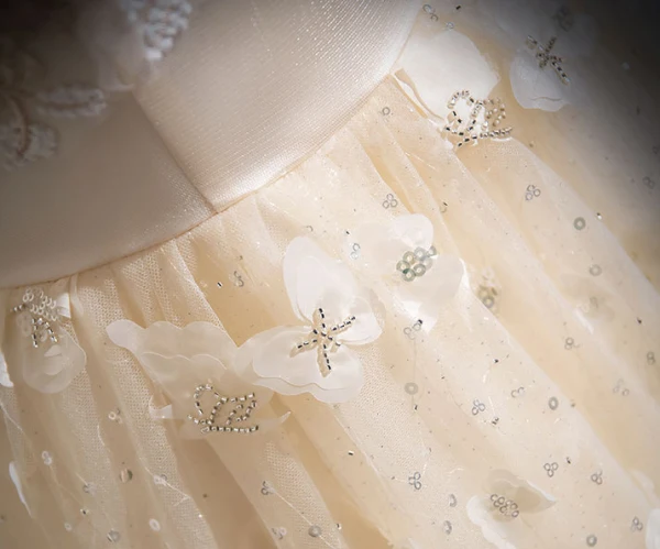 Chic / Beautiful Champagne Butterfly Appliques Beading Sequins Prom Dresses 2024 A-Line / Princess V-Neck Short Sleeve Backless Floor-Length / Long Prom Formal Dresses