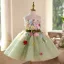 Flower Fairy Sage Green Appliques Short Birthday Flower Girl Dresses 2025 Ball Gown Scoop Neck Sleeveless Backless Bow Sash Tulle