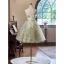 Flower Fairy Sage Green Appliques Homecoming Short Graduation Dresses 2024 Ball Gown Strapless Sleeveless Backless Tulle