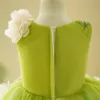 Fée Des Fleurs Vert Cendré En Dentelle Fleur Appliques Asymétrique Robe Ceremonie Fille 2024 Anniversaire Robe Boule V-Cou Sans Manches Tulle