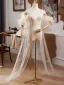 Charming Champagne Handmade  Puffy Short Sleeve Tassel Prom shawl 2025