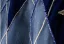 Fashion Navy Blue Star Beading Prom Dresses 2025 A-Line / Princess Spaghetti Straps Sleeveless Backless Floor-Length / Long Prom Formal Dresses