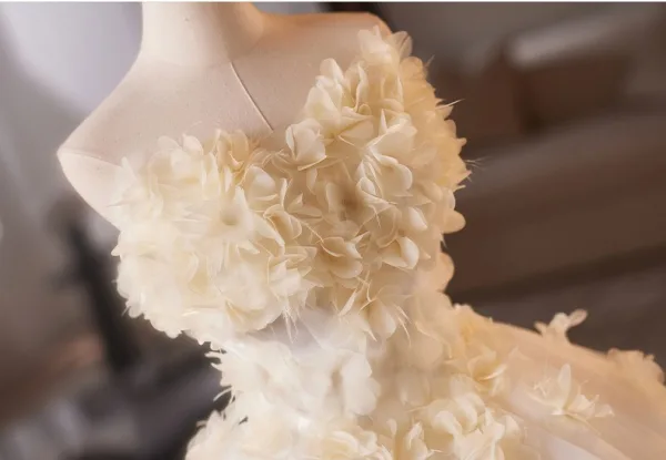 Chic / Belle Blanche Appliques Robe De Bal 2025 Robe Boule Bustier Sans Manches Dos Nu Longue Robe De Ceremonie