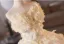 Chic / Belle Blanche Appliques Robe De Bal 2025 Robe Boule Bustier Sans Manches Dos Nu Longue Robe De Ceremonie